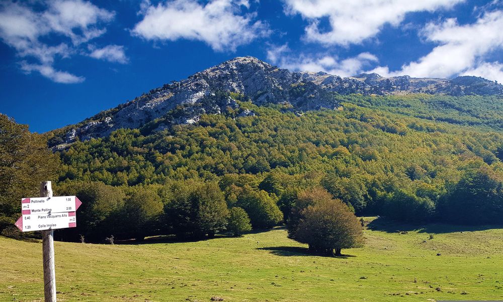 Sentiero segnalato verso Monte Pollino, con vetta rocciosa sullo sfondo